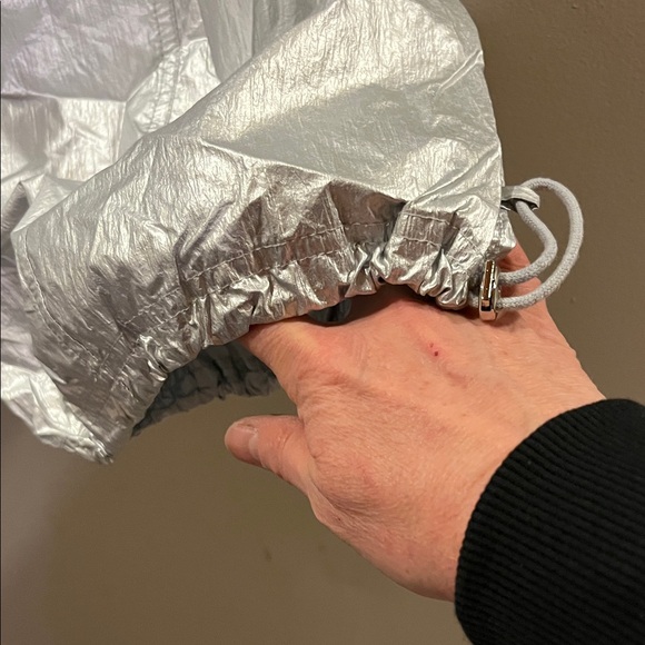 Anthropologie Metallic Silver Joggers - Picture 8 of 12